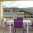  2A IMMOBILIER Calvi / L'Ile Rousse : Appartement | CALVI (20260) | 44 m2 | 500 € 