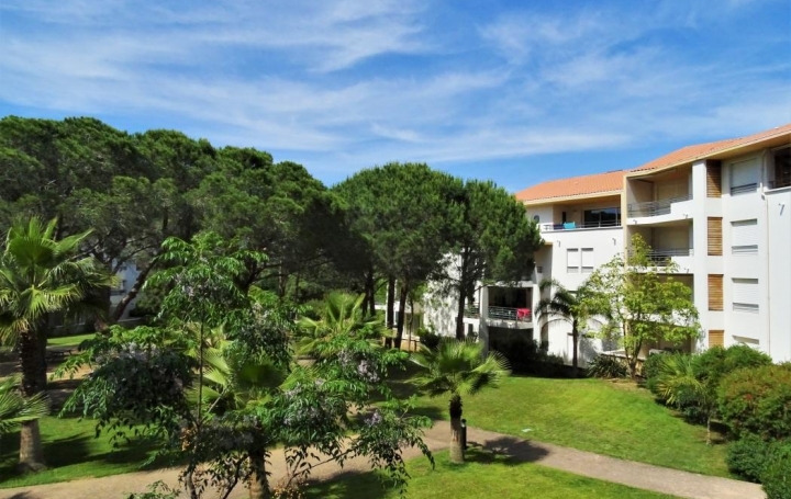 2A IMMOBILIER Calvi / L'Ile Rousse : Appartement | CALVI (20260) | 88 m2 | 1 000 € 