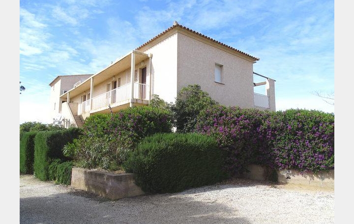 2A IMMOBILIER Calvi / L'Ile Rousse : Appartement | LUMIO (20260) | 45 m2 | 232 000 € 