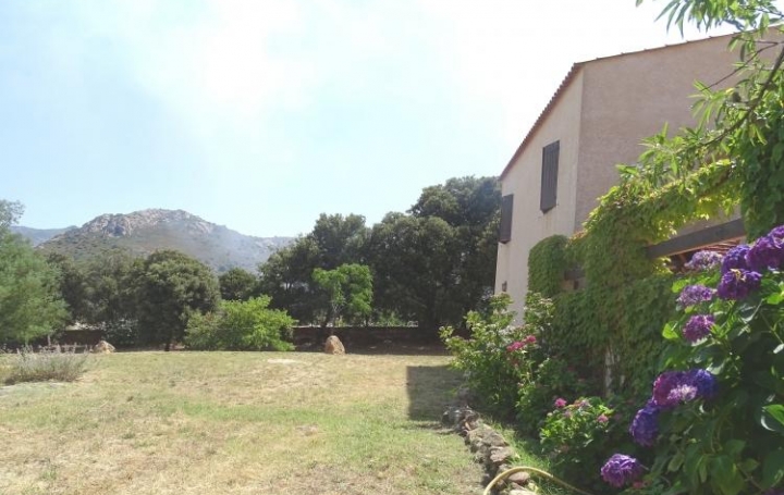 2A IMMOBILIER Calvi / L'Ile Rousse : Maison / Villa | CALENZANA (20214) | 180 m2 | 598 000 € 