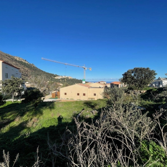 Annonces CALVI : Terrain | SANTA-REPARATA-DI-BALAGNA (20220) | m2 | 235 000 € 