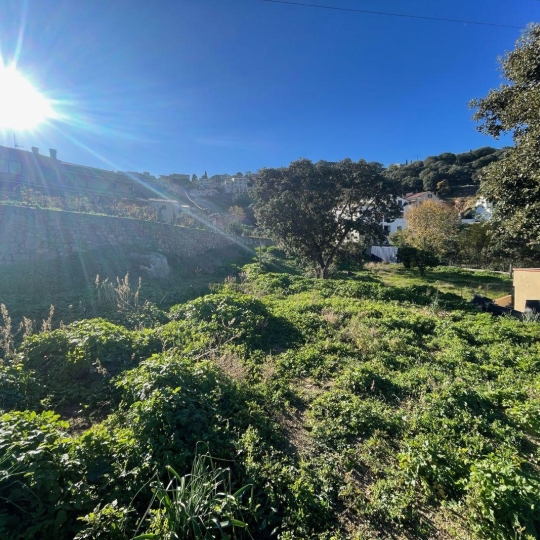  Annonces CALVI : Ground | SANTA-REPARATA-DI-BALAGNA (20220) | 0 m2 | 235 000 € 