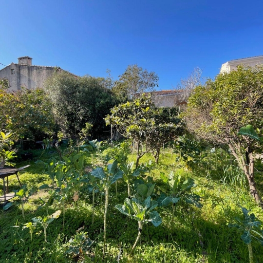  Annonces CALVI : Maison / Villa | L'ILE-ROUSSE (20220) | 200 m2 | 1 144 000 € 