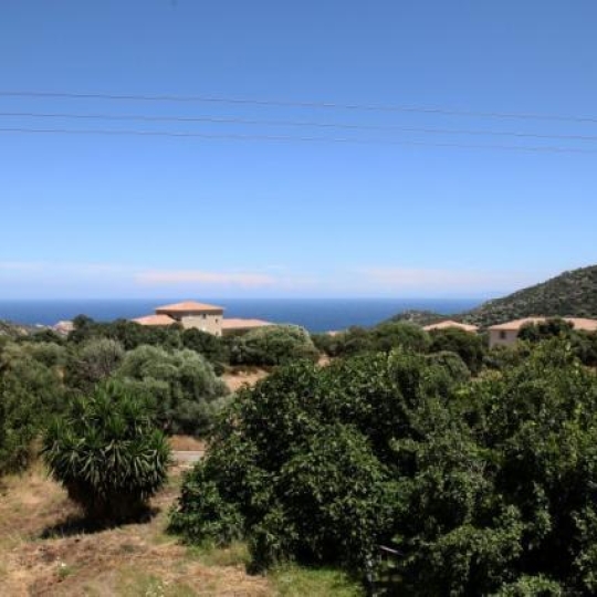  2A IMMOBILIER Calvi / L'Ile Rousse : Appartement | SANTA-REPARATA-DI-BALAGNA (20220) | 170 m2 | 514 500 € 