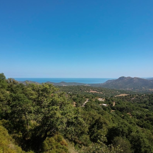  2A IMMOBILIER Calvi / L'Ile Rousse : Terrain | VILLE-DI-PARASO (20279) | 1 792 m2 | 140 000 € 