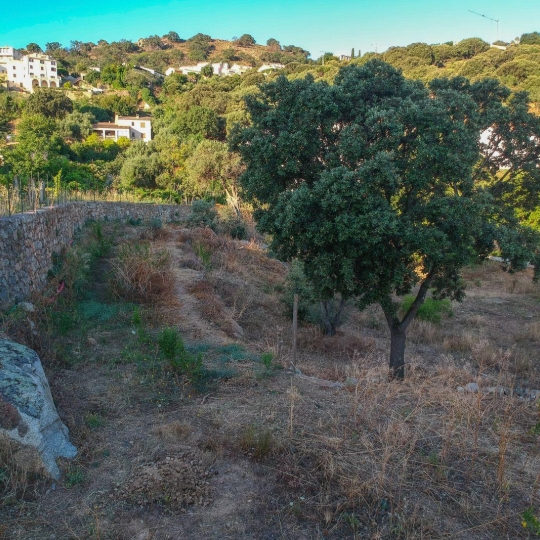 2A IMMOBILIER Calvi / L'Ile Rousse : Terrain | SANTA-REPARATA-DI-BALAGNA (20220) | 0 m2 | 235 000 € 