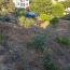 2A IMMOBILIER Calvi / L'Ile Rousse : Terrain | SANTA-REPARATA-DI-BALAGNA (20220) | 0 m2 | 235 000 € 