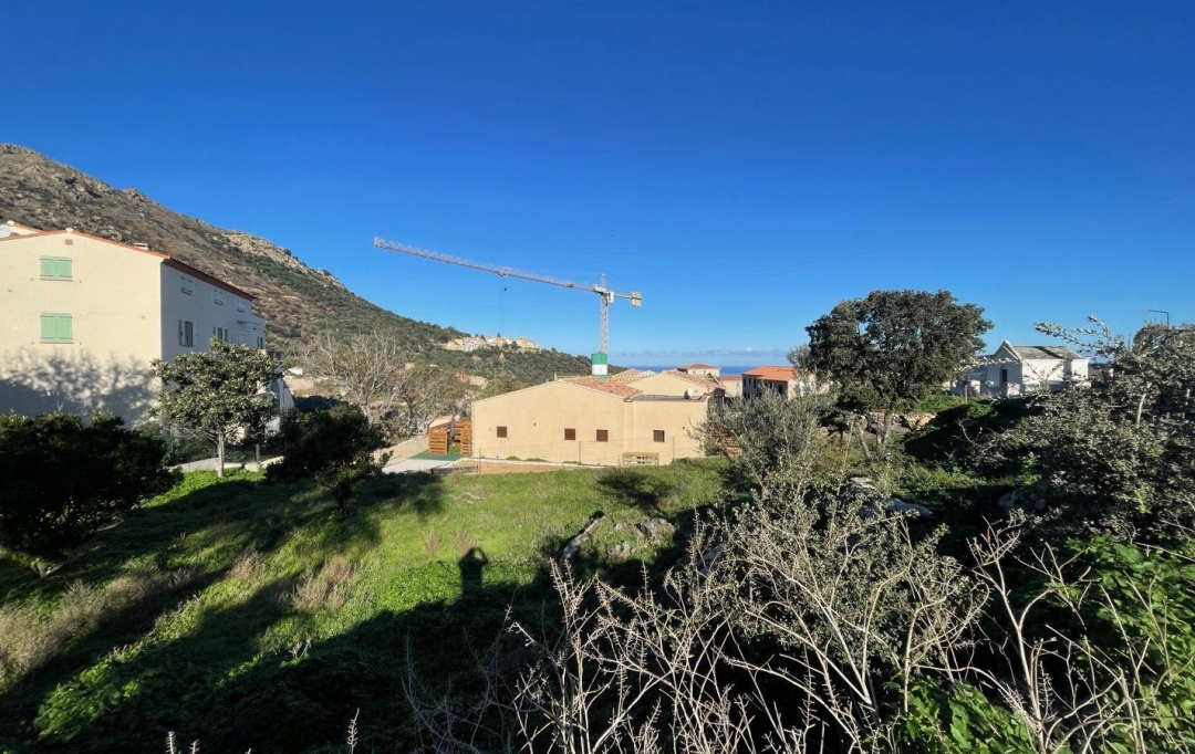 Annonces CALVI : Ground | SANTA-REPARATA-DI-BALAGNA (20220) | 0 m2 | 235 000 € 