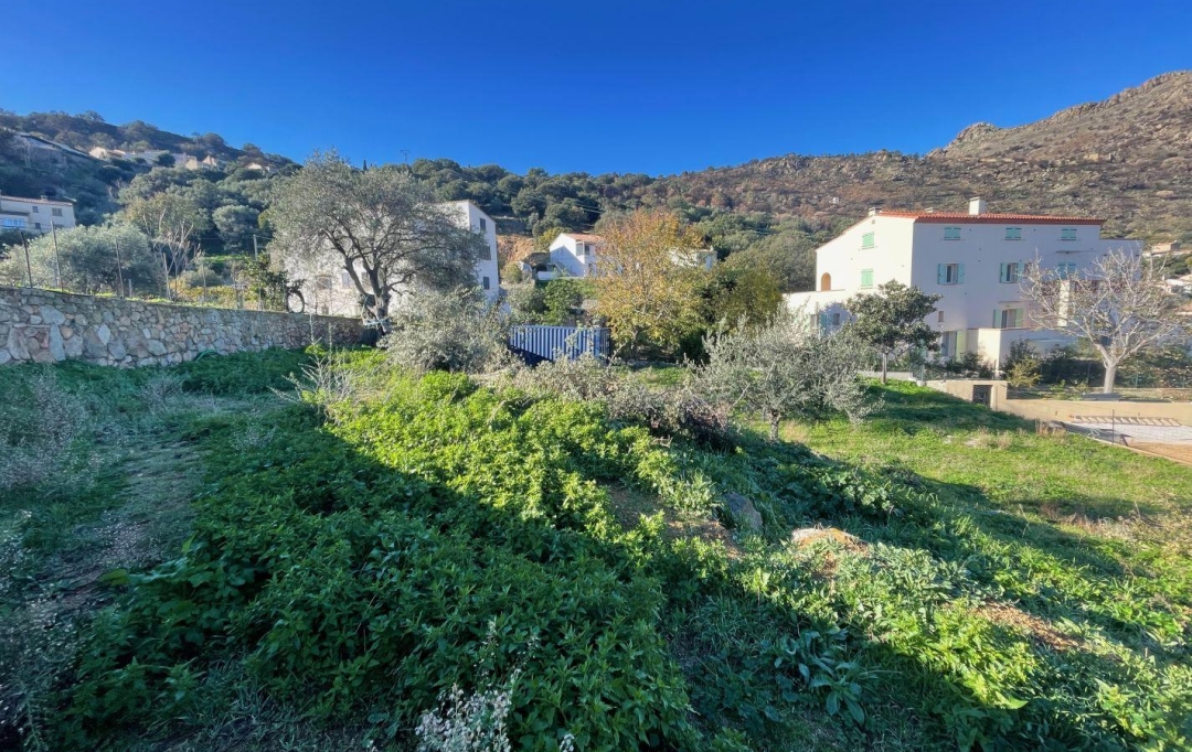 Annonces CALVI : Ground | SANTA-REPARATA-DI-BALAGNA (20220) | 0 m2 | 235 000 € 