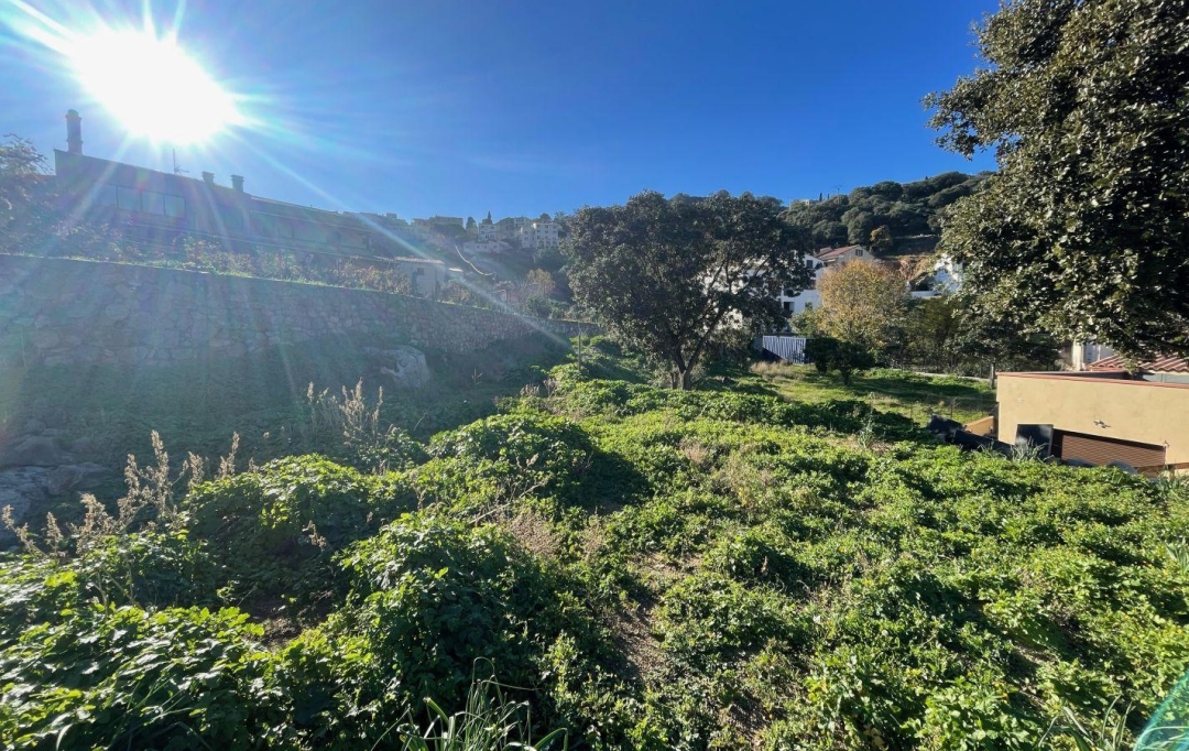 Annonces CALVI : Ground | SANTA-REPARATA-DI-BALAGNA (20220) | 0 m2 | 235 000 € 