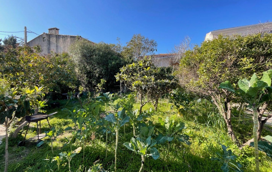 Annonces CALVI : Maison / Villa | L'ILE-ROUSSE (20220) | 200 m2 | 1 144 000 € 