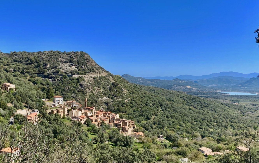 2A IMMOBILIER Calvi / L'Ile Rousse : House | AVAPESSA (20225) | 84 m2 | 230 000 € 