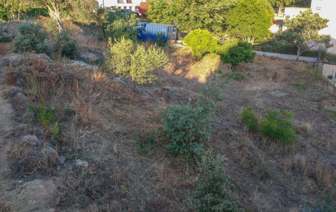 2A IMMOBILIER Calvi / L'Ile Rousse : Terrain | SANTA-REPARATA-DI-BALAGNA (20220) | 0 m2 | 235 000 € 