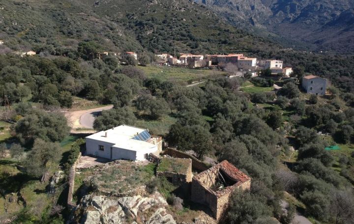 Annonces CALVI : Maison / Villa | MONTEGROSSO (20214) | 120 m2 | 320 000 € 