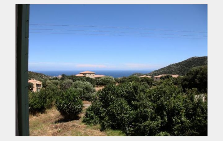 Annonces CALVI : Apartment | SANTA-REPARATA-DI-BALAGNA (20220) | 170 m2 | 514 500 € 