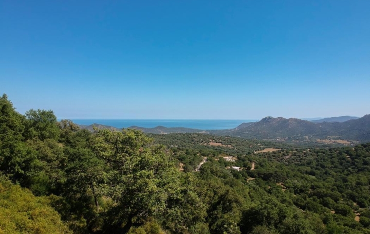 2A IMMOBILIER Calvi / L'Ile Rousse Terrain | VILLE-DI-PARASO (20279) | 1 792 m2 | 140 000 € 