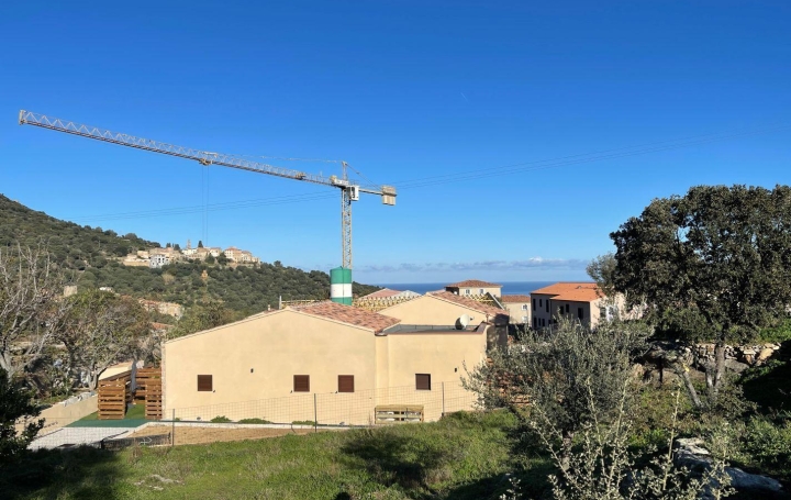  2A IMMOBILIER Calvi / L'Ile Rousse Ground | SANTA-REPARATA-DI-BALAGNA (20220) | 0 m2 | 235 000 € 