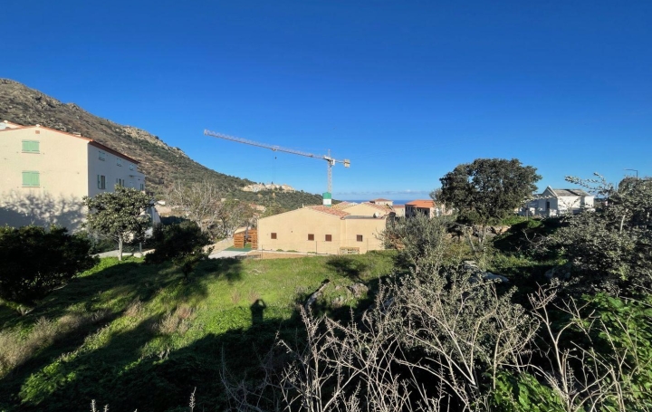  2A IMMOBILIER Calvi / L'Ile Rousse Terrain | SANTA-REPARATA-DI-BALAGNA (20220) | 0 m2 | 235 000 € 