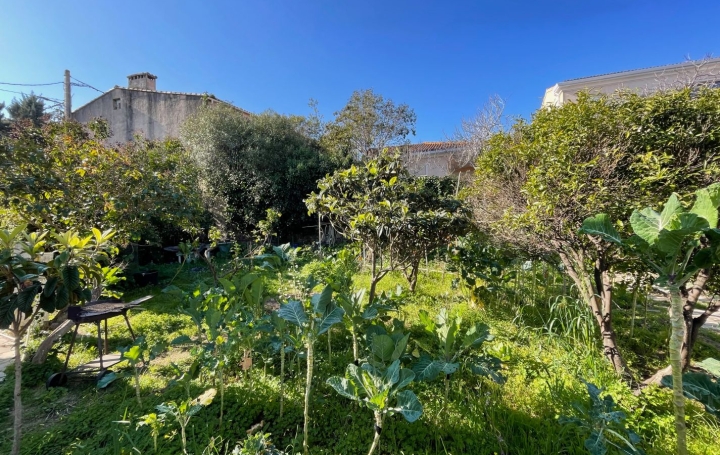  2A IMMOBILIER Calvi / L'Ile Rousse Maison / Villa | L'ILE-ROUSSE (20220) | 200 m2 | 1 144 000 € 